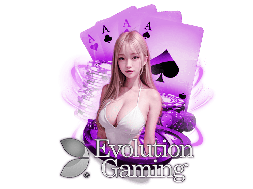 ค่าย evolution gaming Banner หน้าเพจ HOTVIP888